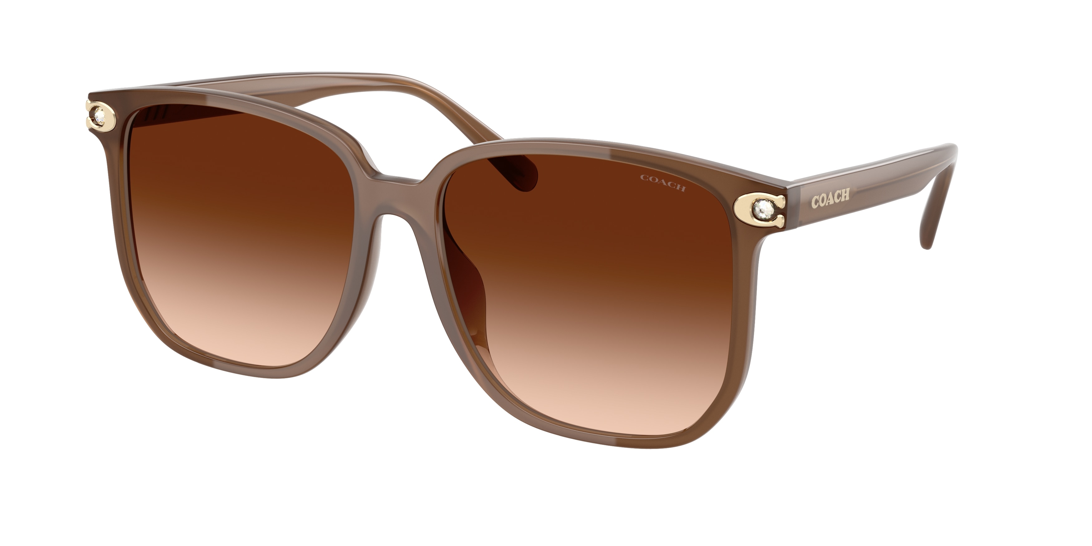 Coach HC8413BD 580874 Cw419